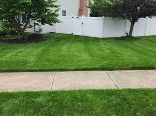 Chris H.'s Lawn Mowing service result