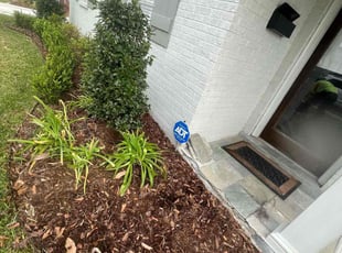 Weeding by Nicholas Boutte for Andrew S. in Metairie, LA