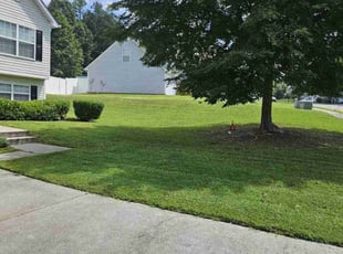 Laurel S.'s Lawn Service service result