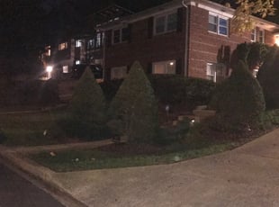 Leaf Removal by Kamonta Hackey for Amos C. in Washington, DC