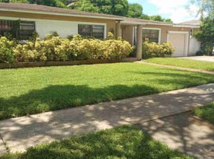 David T.'s Lawn Service service result