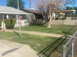 Cleanups by Taylor Dodson for Debbie T. in Phoenix, AZ