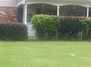 Bush Trimming by Gary Cooper for Amanda M. in Virginia Beach, VA