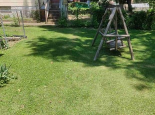 Ricky F.'s Yard Cutting service result