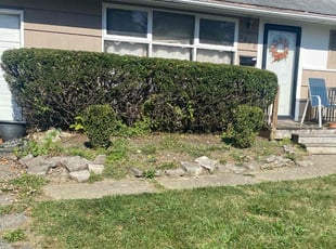Bush Trimming by Buckeye Touch for Lillie H. in Columbus, OH