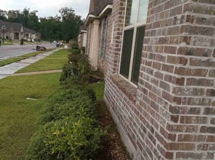 Cleanups by Gregory Lewis for Lana H. in Baton Rouge, LA