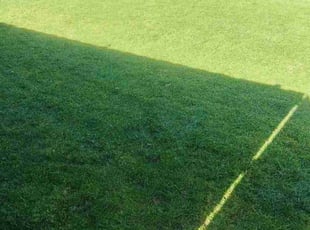 L. A.'s Lawn Service service result