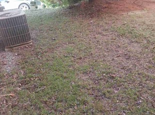 Leaf Removal by Cordarrell Ephriam for Thillip H. in Fairburn, GA