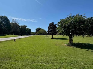 Breann B.'s Lawn Maintenance service result