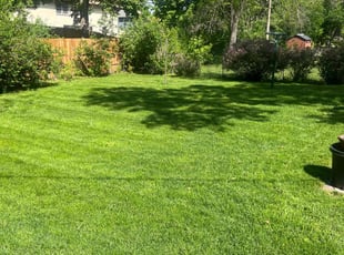 Scott B.'s Lawn Mowing service result