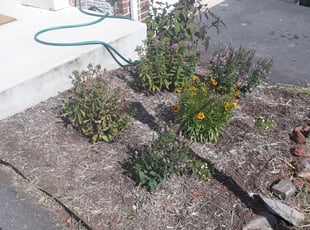 Virginia C.'s Flower Bed Weeding service result
