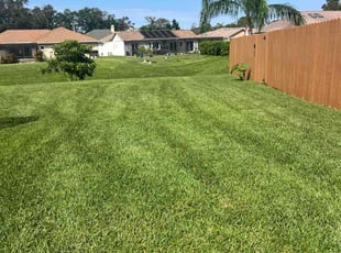 Chelsie P.'s Lawn Mowing service result