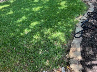 Beatrice G.'s Lawn Service service result