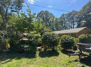 Bush Trimming by Kyle Richardson for Ben M. in Newport News, VA