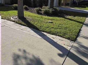 Angela B.'s Lawn Care service result