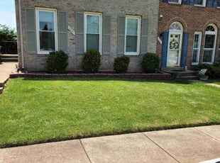 Brodie H.'s Lawn Service service result