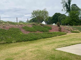 Bush Trimming by Spencer Ashby for Najma F. in Mooresville, NC