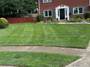 Randy W.'s Lawn Mowing service result