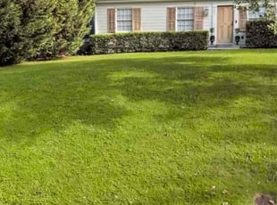 Siberina L.'s Lawn Care service result