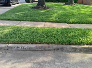 Mike H.'s Lawn Mowing Service service result