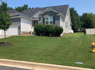 Michelle H.'s Lawn Mowing service result