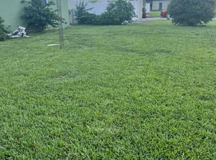 Rc B.'s Lawn Mowing Service service result