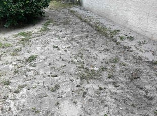Cleanups by Josue Nunez for Alicia C. in Casselberry, FL