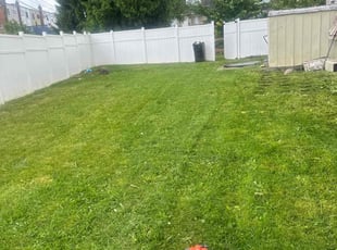 Mimi S.'s Lawn Care service result
