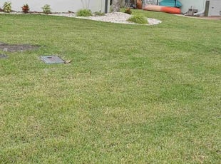 Kawana C.'s Grass Cutting service result