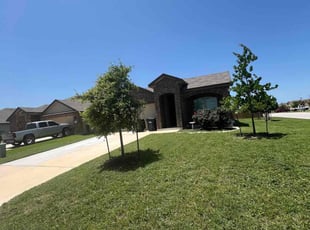 BILL S.'s Lawn Mowing service result