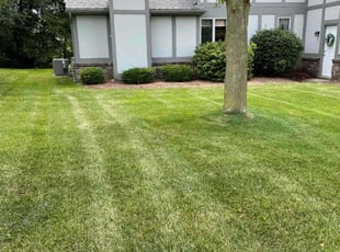 Kim O.'s Lawn Service service result