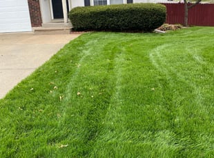 Bush Trimming by Darron Cotton for Grady G. in Shawnee, KS