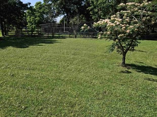 Ryan H.'s Lawn Care service result