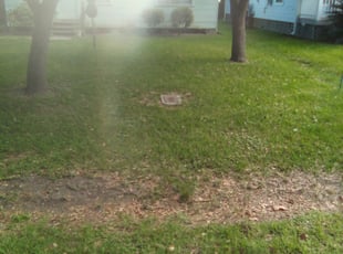 Bush Trimming by Jason Rex for Rochelle W. in Bacliff, TX