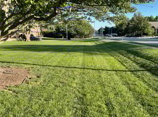 James M.'s Yard Cutting service result