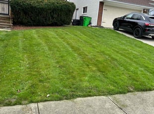 James K.'s Lawn Maintenance service result
