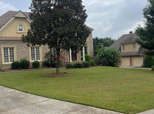 Bernardo S.'s Yard Cutting service result