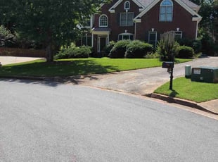 Denise B.'s Lawn Mowing service result