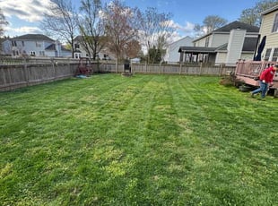 John w.'s Lawn Mowing service result