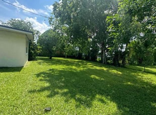 Denise B.'s Grass Cutting service result