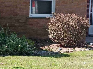 Bush Trimming by David Rider for Ryan E. in St. Clair Shores, MI