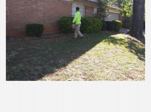 Bush Trimming by Aundra Thomas for Janell W. in Fort Worth, TX