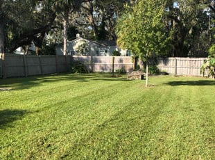 Anne M.'s Lawn Service service result