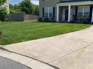 Seth H.'s Lawn Mowing Service service result