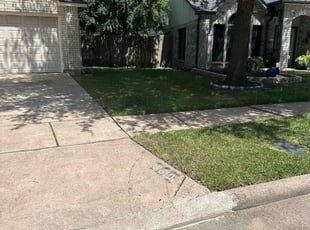 Terry M.'s Lawn Care service result