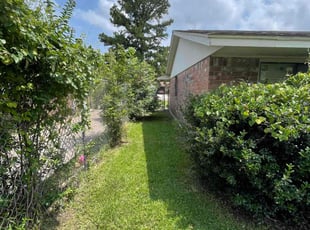 Ettienne G.'s Lawn Care service result