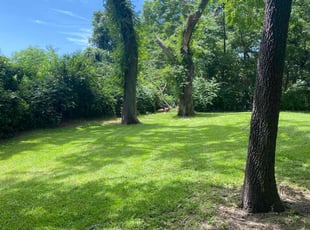 Cassaundra R.'s Lawn Service service result