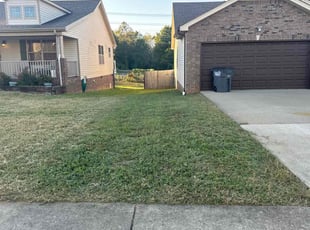 Sara A.'s Lawn Maintenance service result