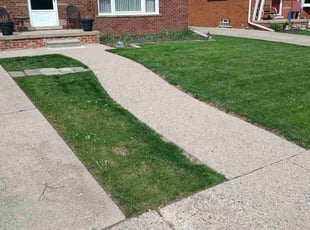 Bill D.'s Lawn Service service result
