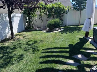Jeannette L.'s Lawn Mowing Service service result